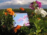 Five Weeks Cover in Flowers